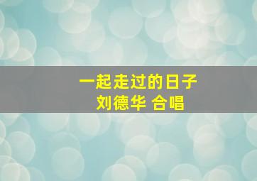 一起走过的日子 刘德华 合唱